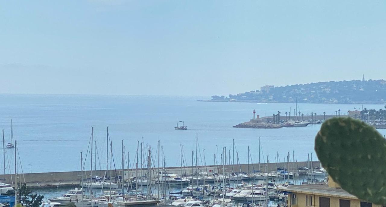 Appartement Mansfield Vue Carte Postale Terrasse Piscine Calme Port A 200m A Pied Menton